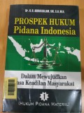 Prospek Hukum Pidana Indonesia