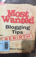 Most Wanted Blogging Tips Rebirth
